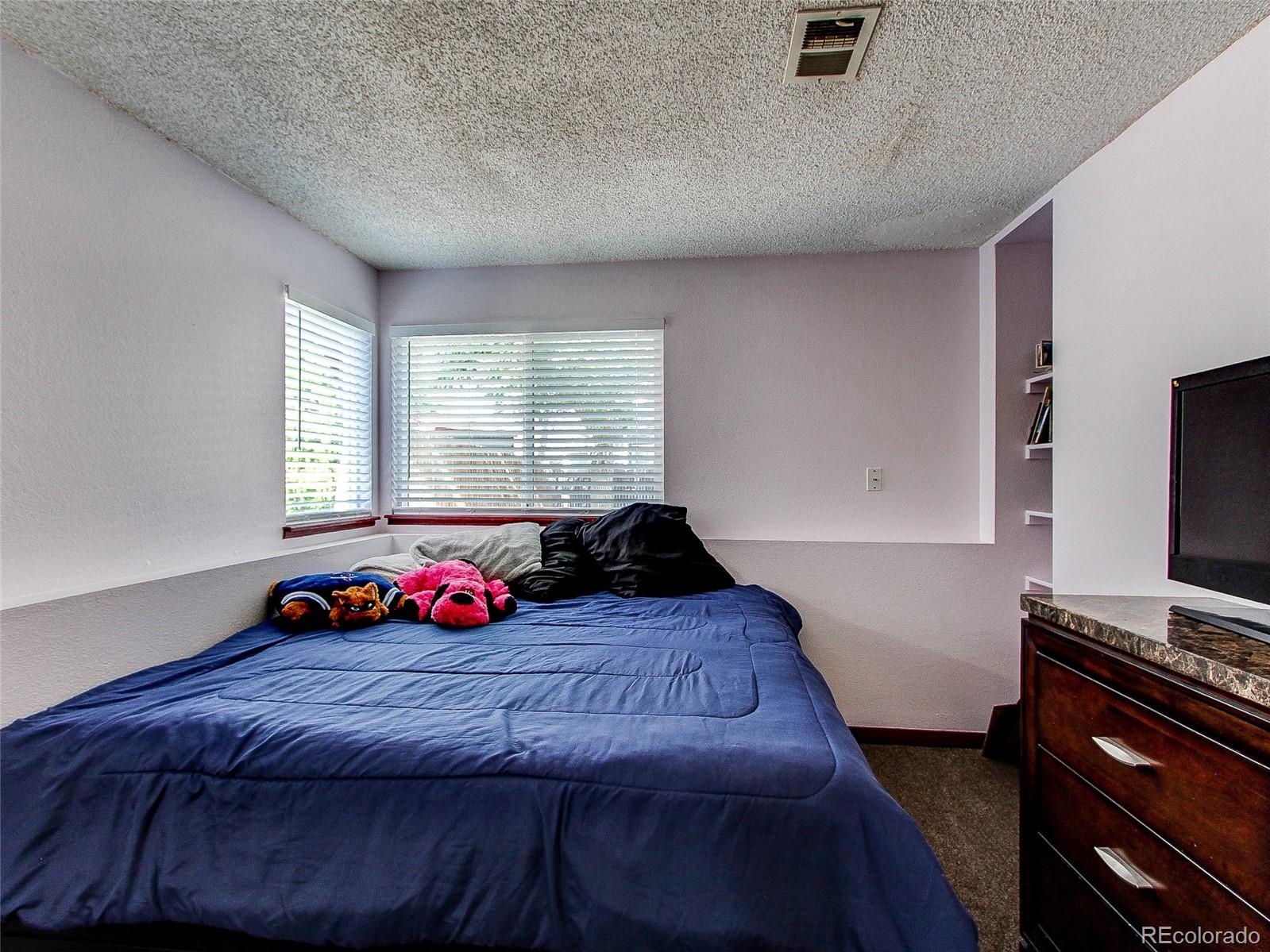 MLS Image #16 for 19473 e 42nd avenue,denver, Colorado