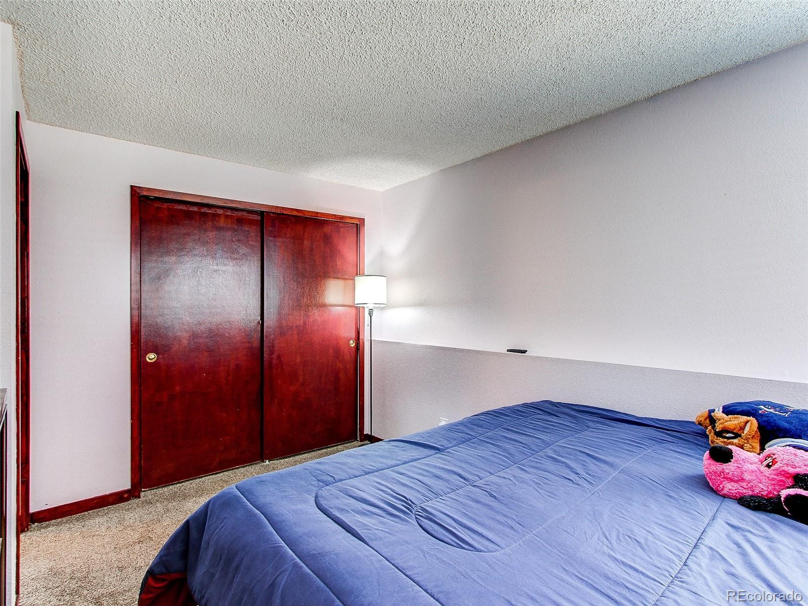 MLS Image #17 for 19473 e 42nd avenue,denver, Colorado