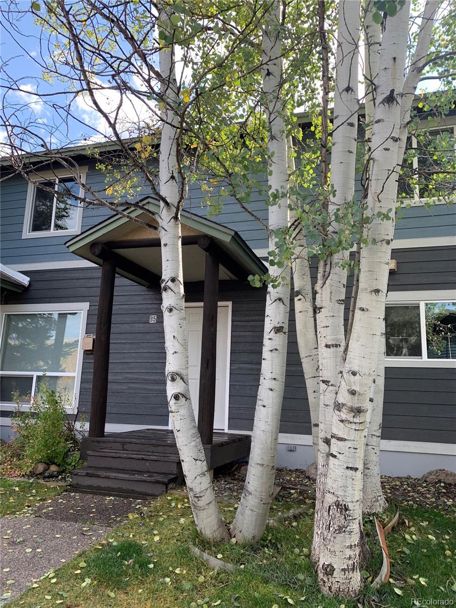 MLS Image #0 for 3174  ingles lane,steamboat springs, Colorado