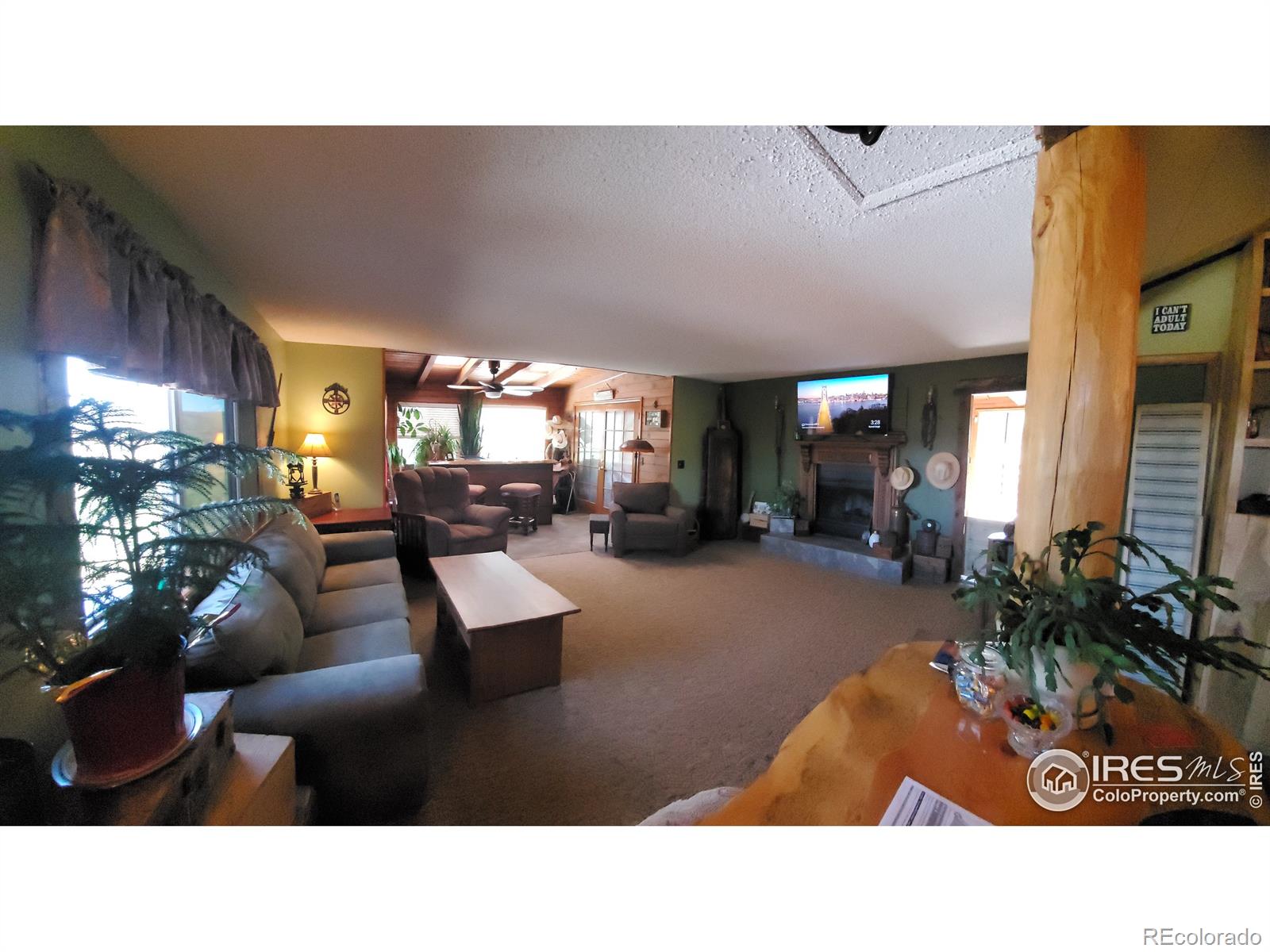 MLS Image #3 for 97  hedges circle,woodland park, Colorado