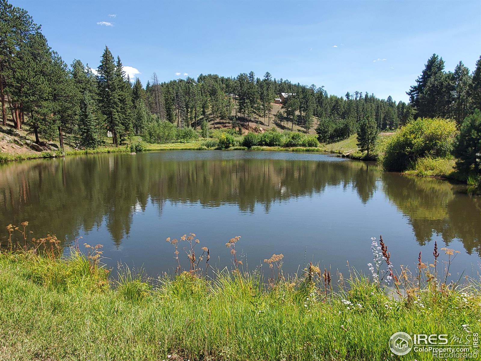 MLS Image #4 for 97  hedges circle,woodland park, Colorado