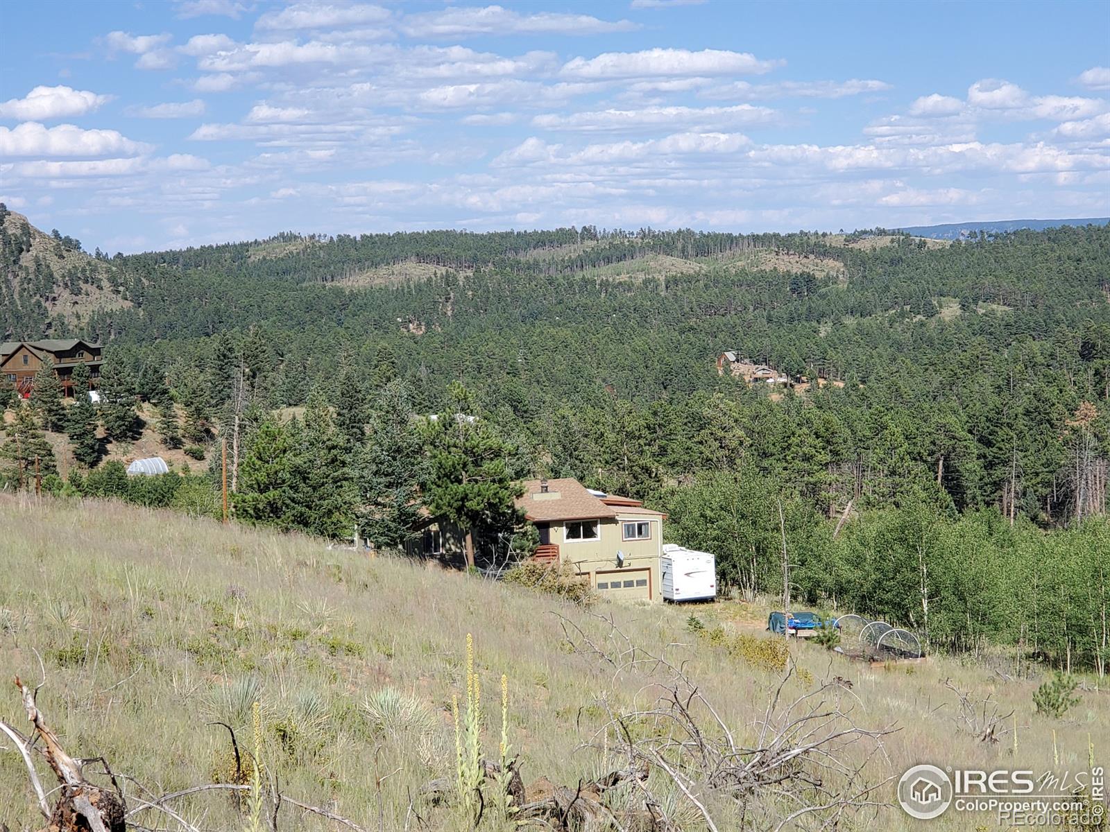 MLS Image #6 for 97  hedges circle,woodland park, Colorado