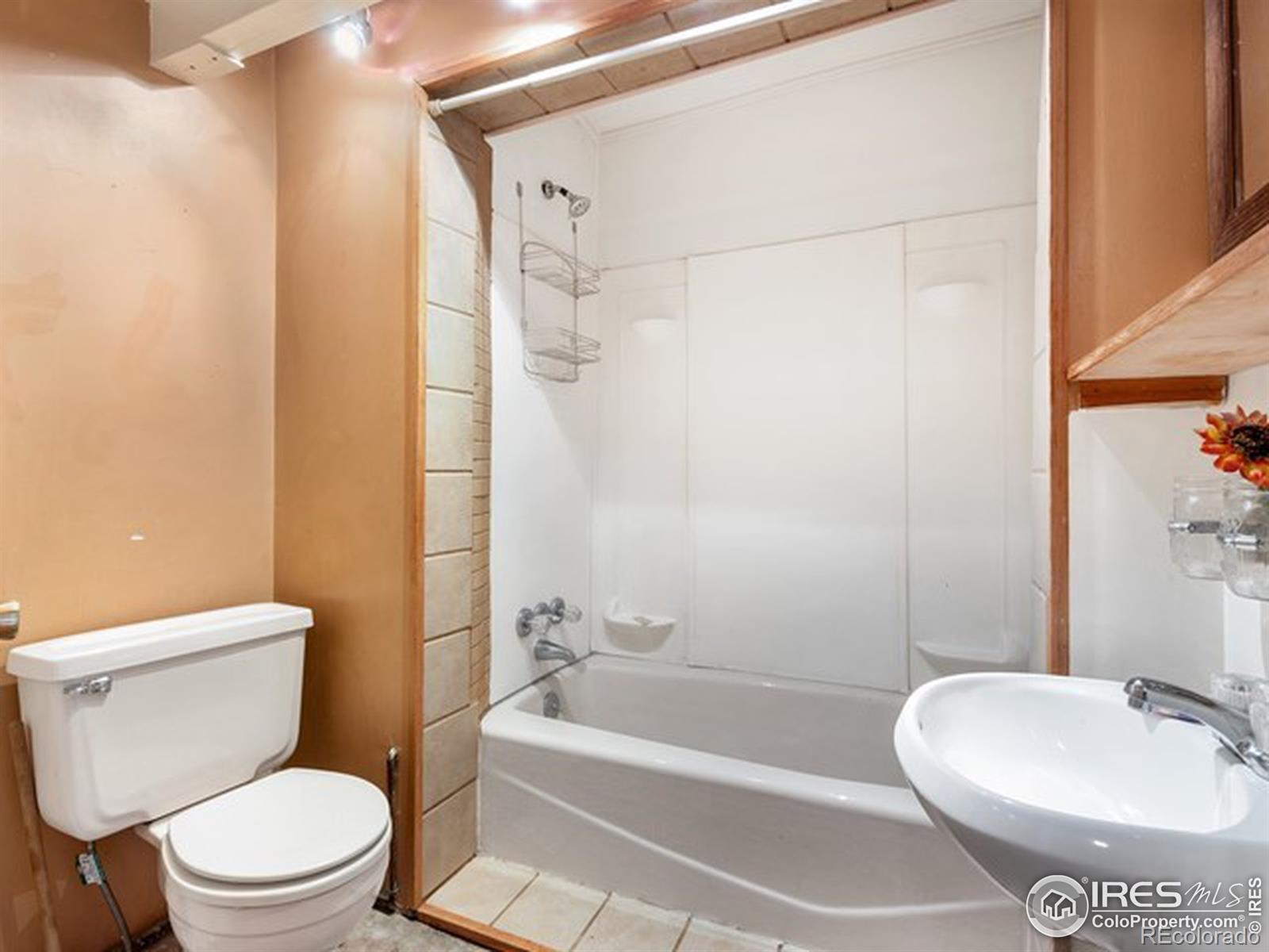 MLS Image #24 for 7791  lefthand canyon drive,jamestown, Colorado