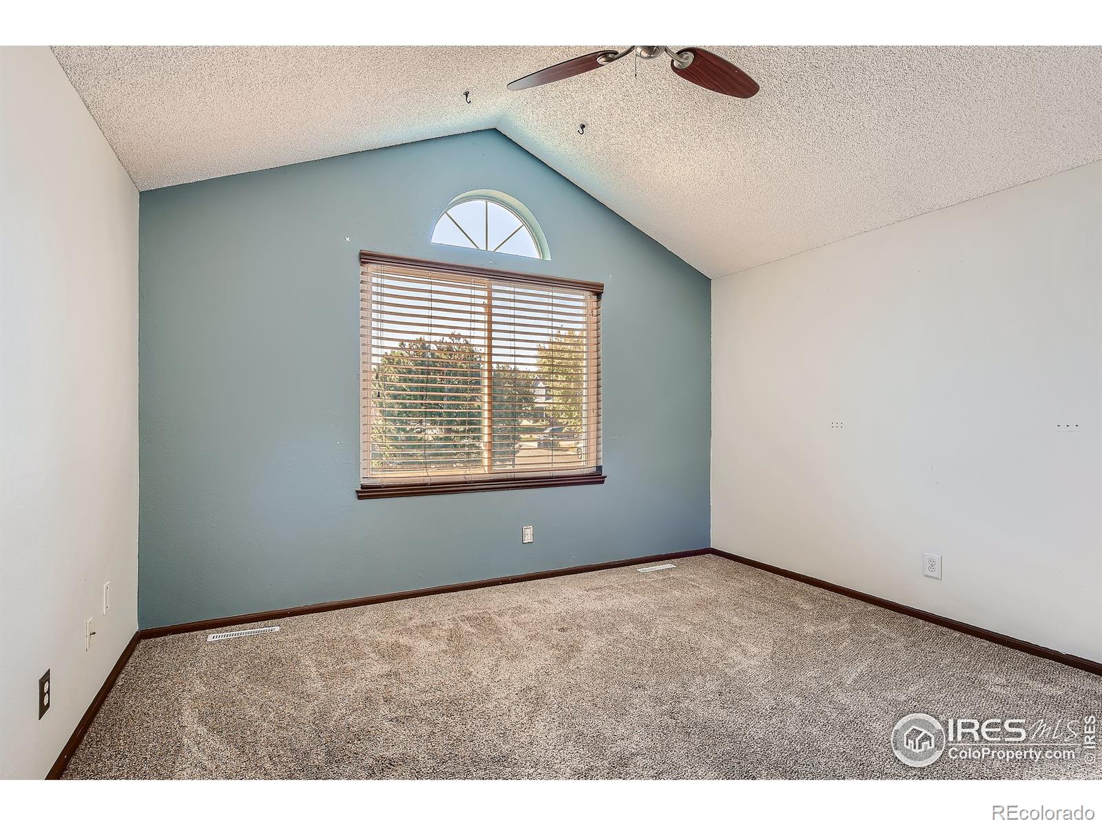 MLS Image #13 for 16368  orchard grass lane,parker, Colorado