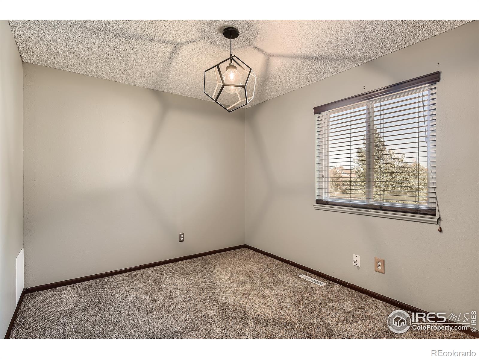 MLS Image #15 for 16368  orchard grass lane,parker, Colorado