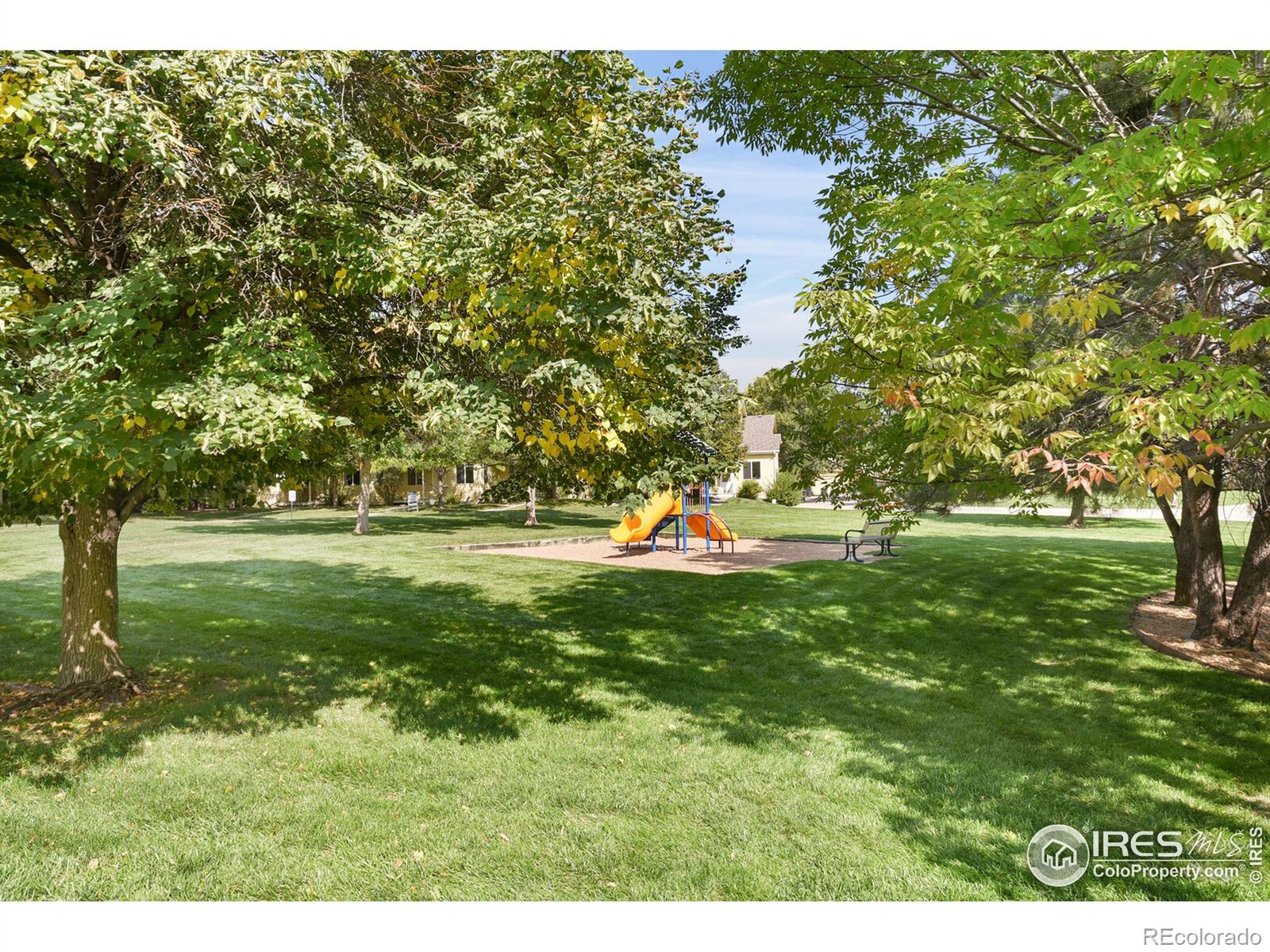 MLS Image #15 for 500  lashley street,longmont, Colorado