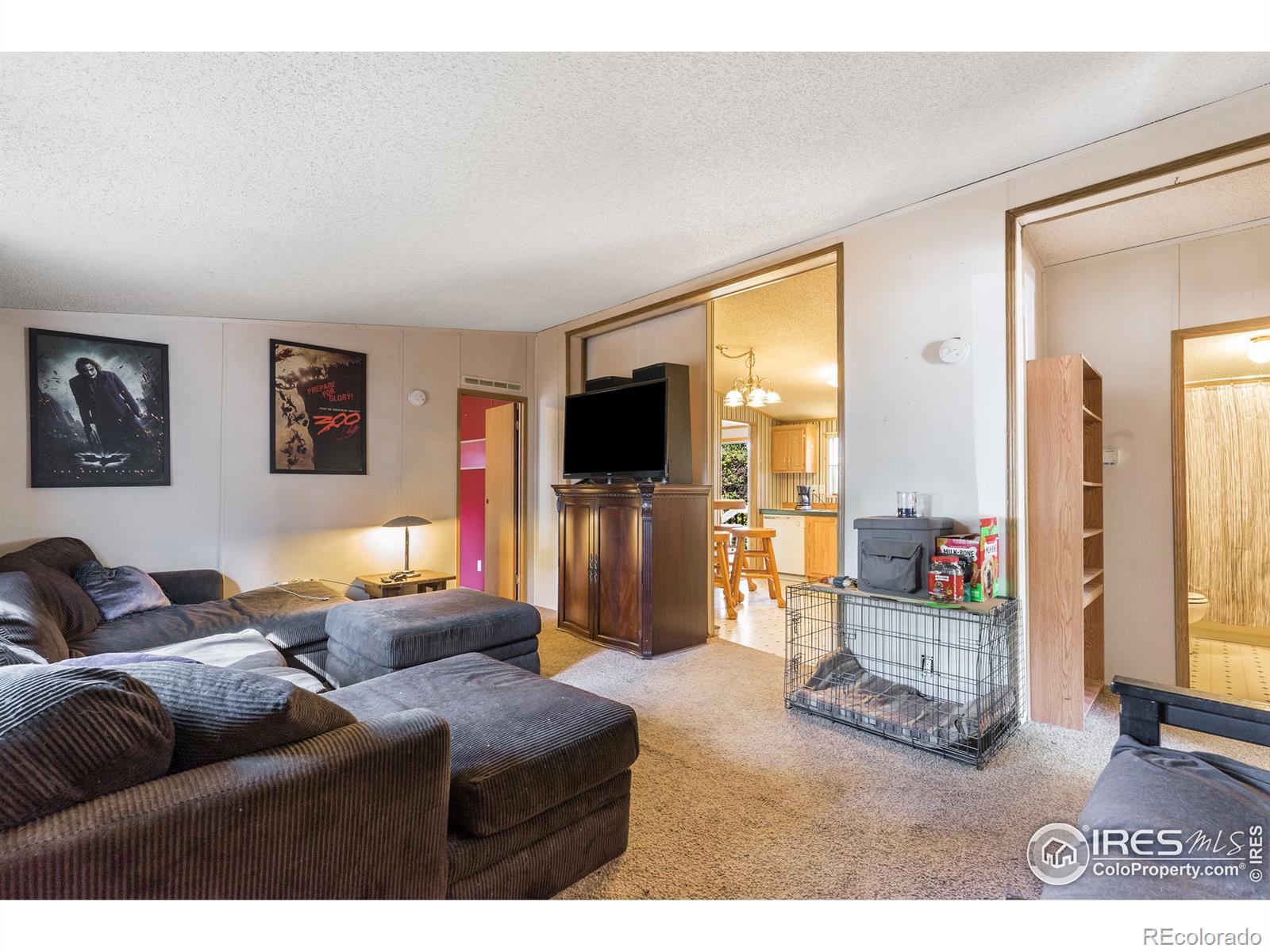 MLS Image #10 for 745  martinez street,fort collins, Colorado