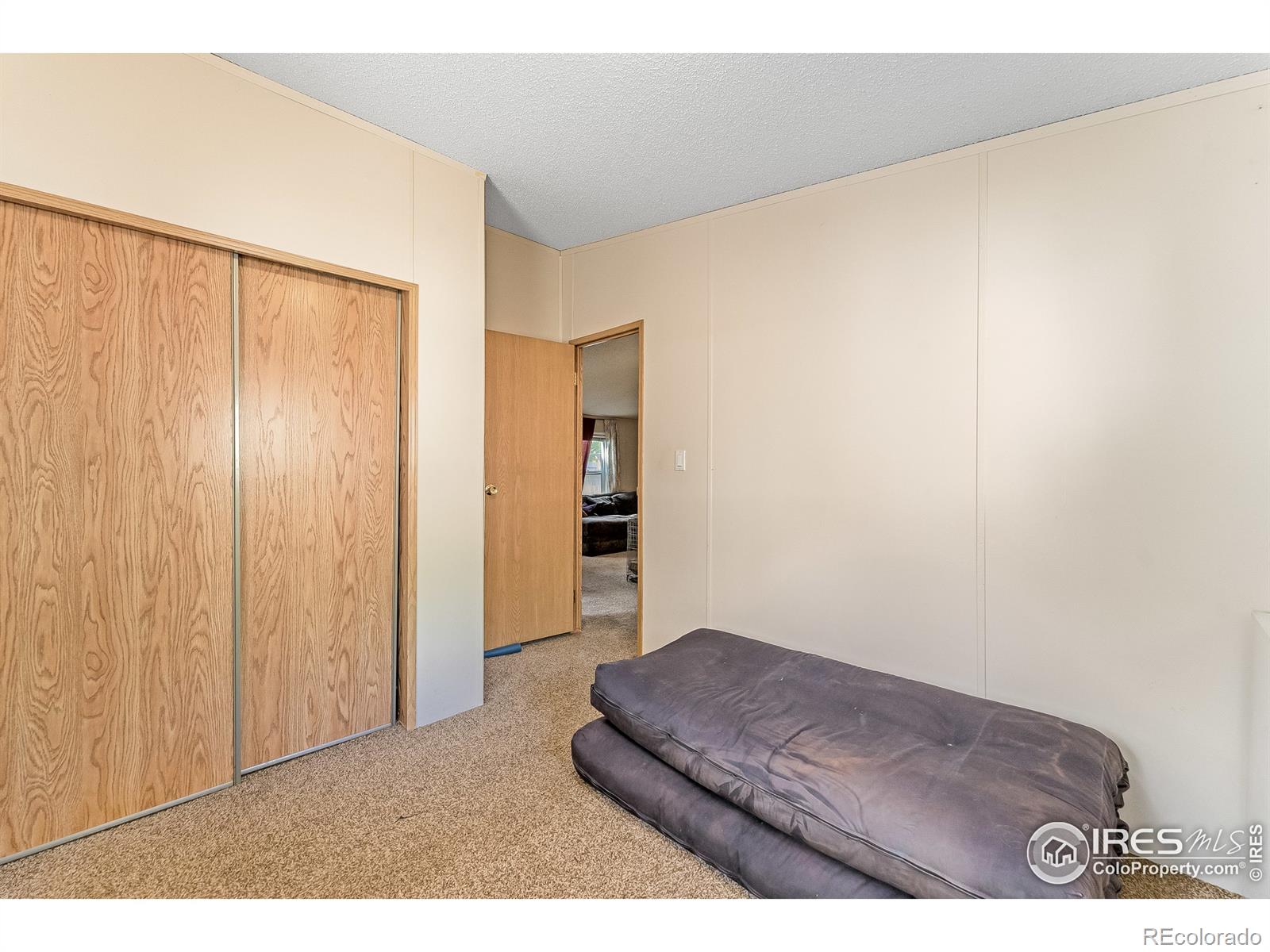 MLS Image #12 for 745  martinez street,fort collins, Colorado