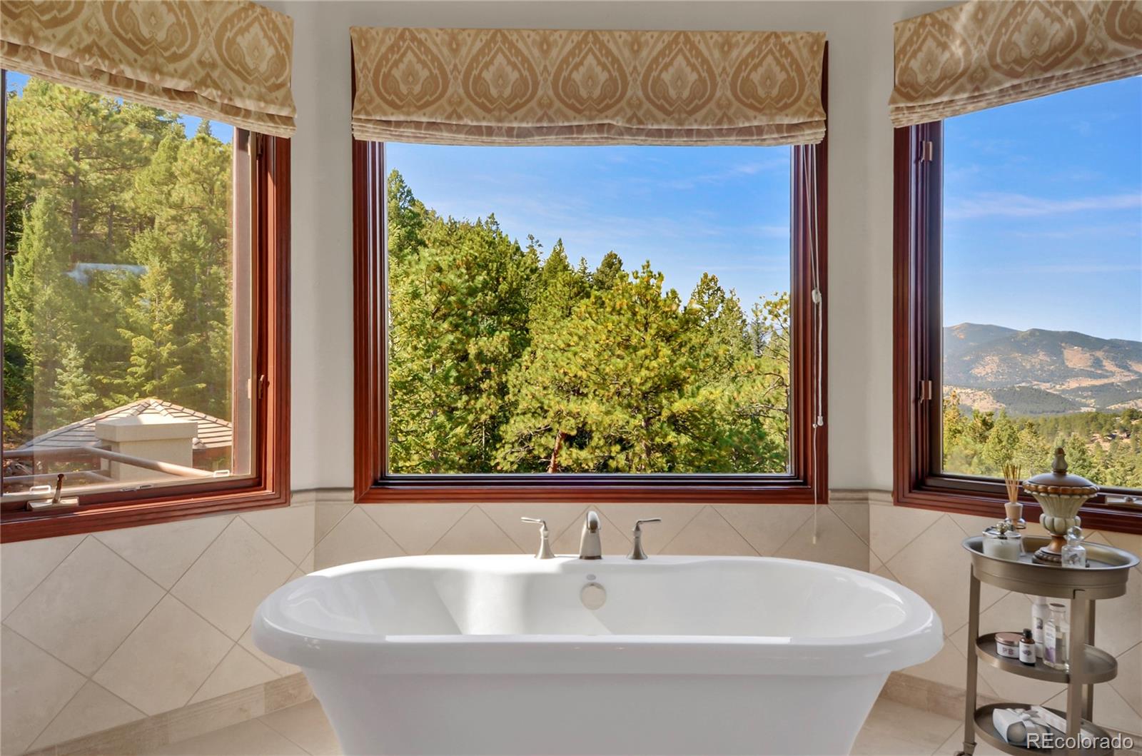 MLS Image #22 for 59  summit ranch way,golden, Colorado