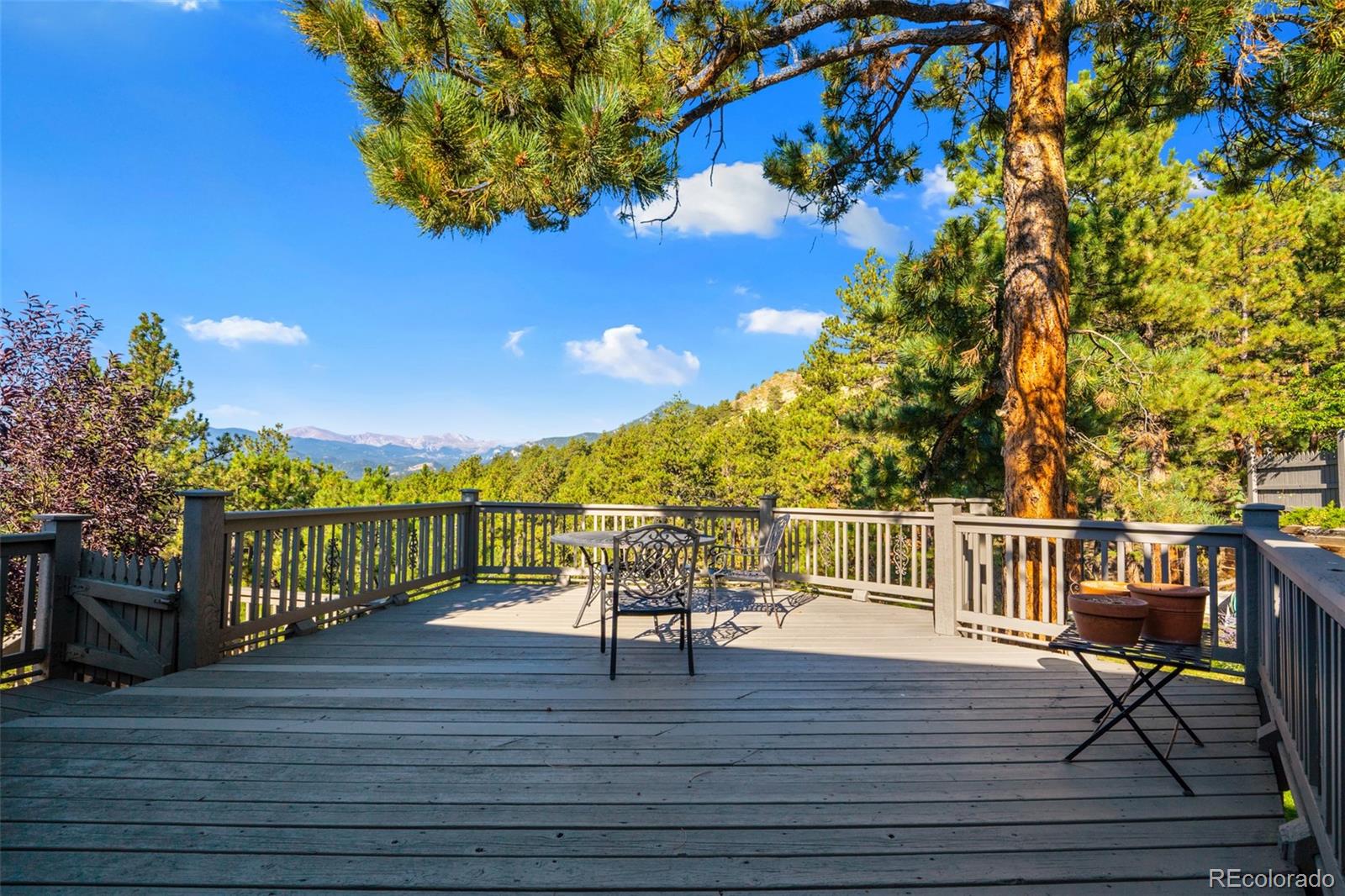 MLS Image #26 for 3901 s skyline drive,evergreen, Colorado