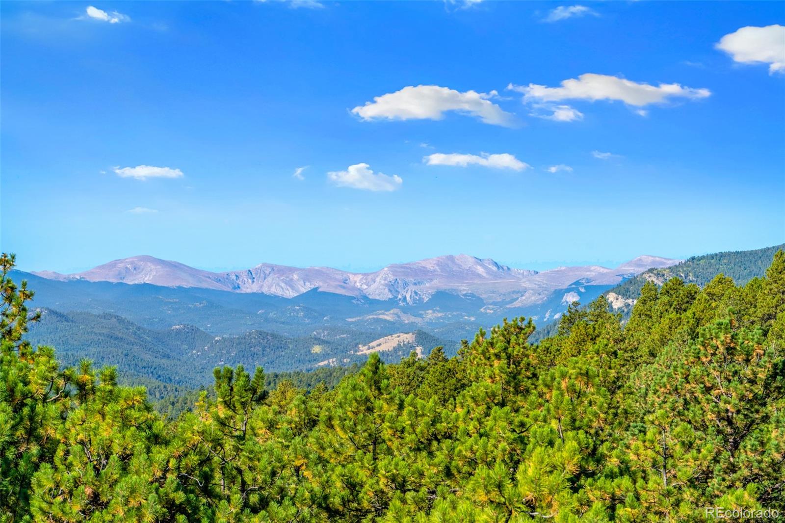 MLS Image #35 for 3901 s skyline drive,evergreen, Colorado