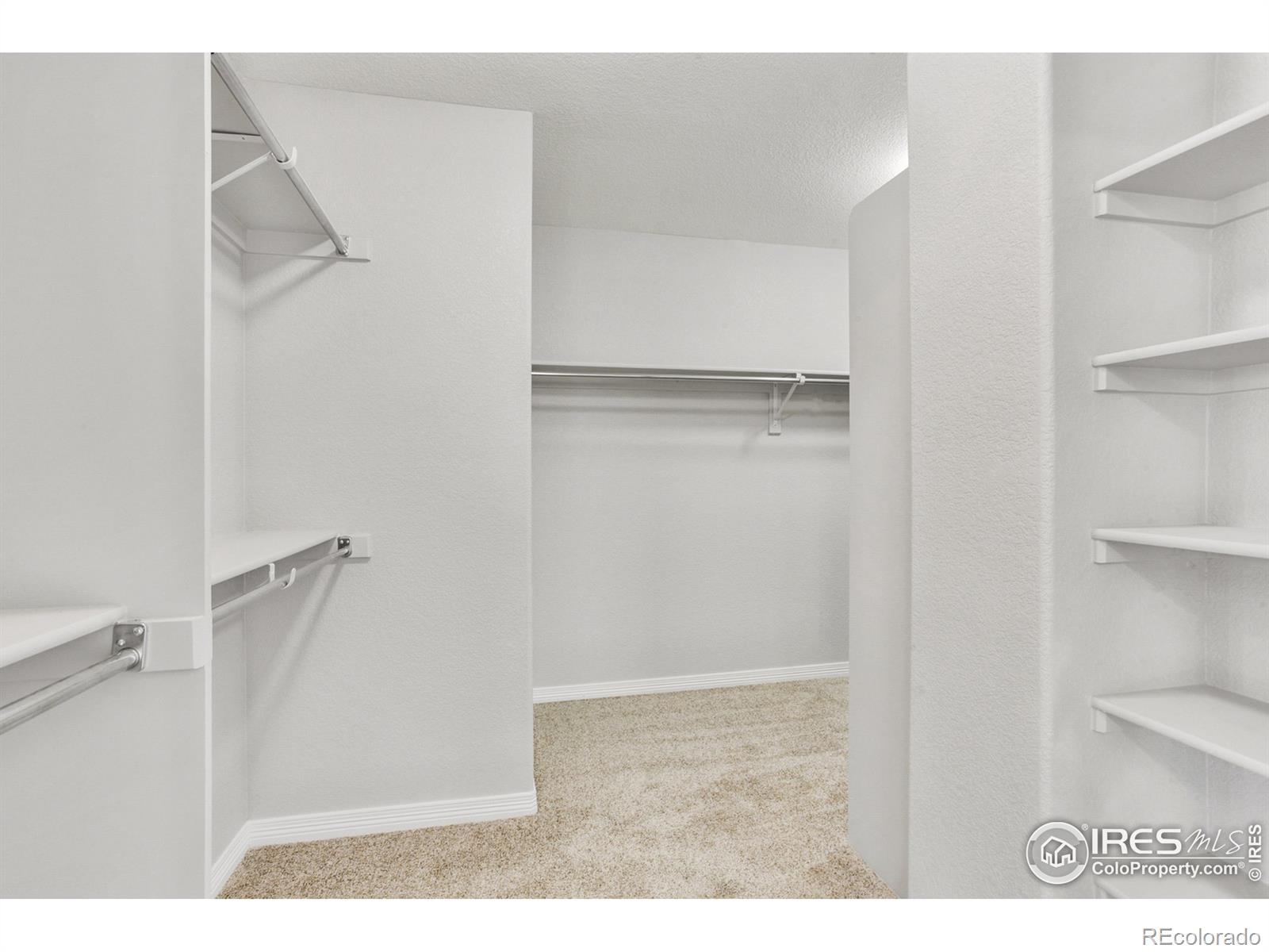 MLS Image #10 for 13302  wild basin way,broomfield, Colorado