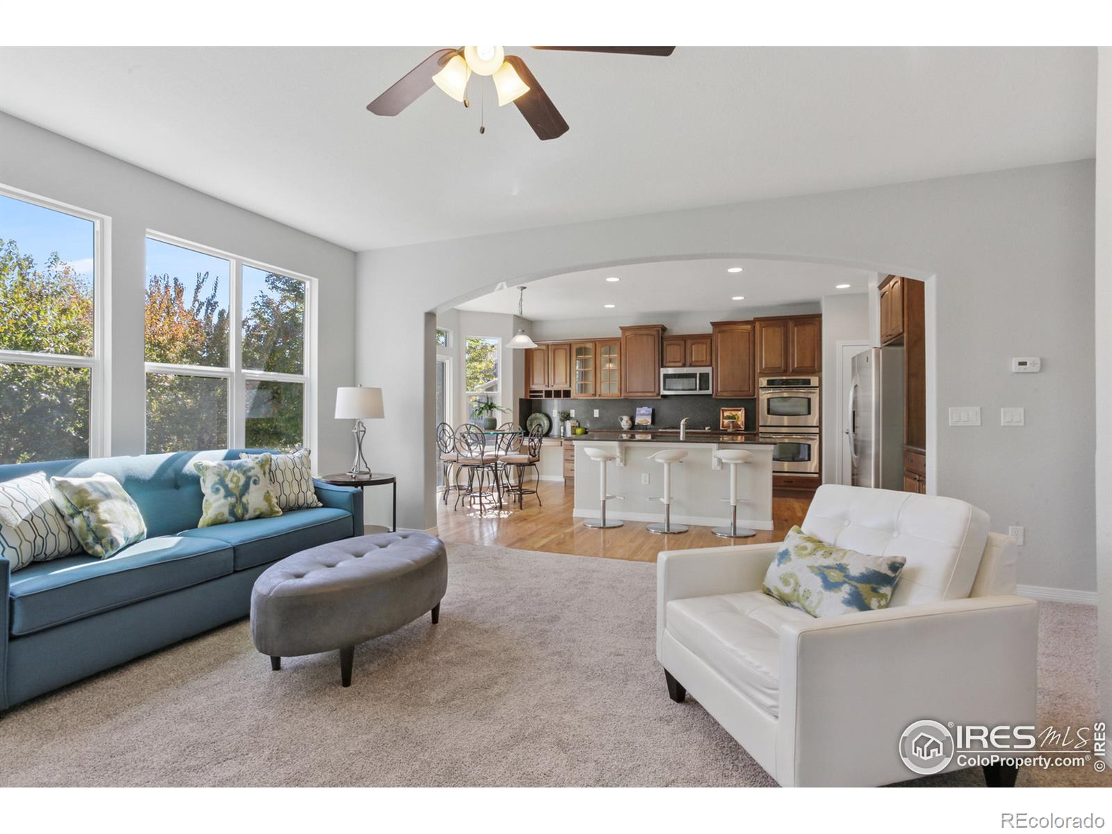 MLS Image #3 for 13302  wild basin way,broomfield, Colorado