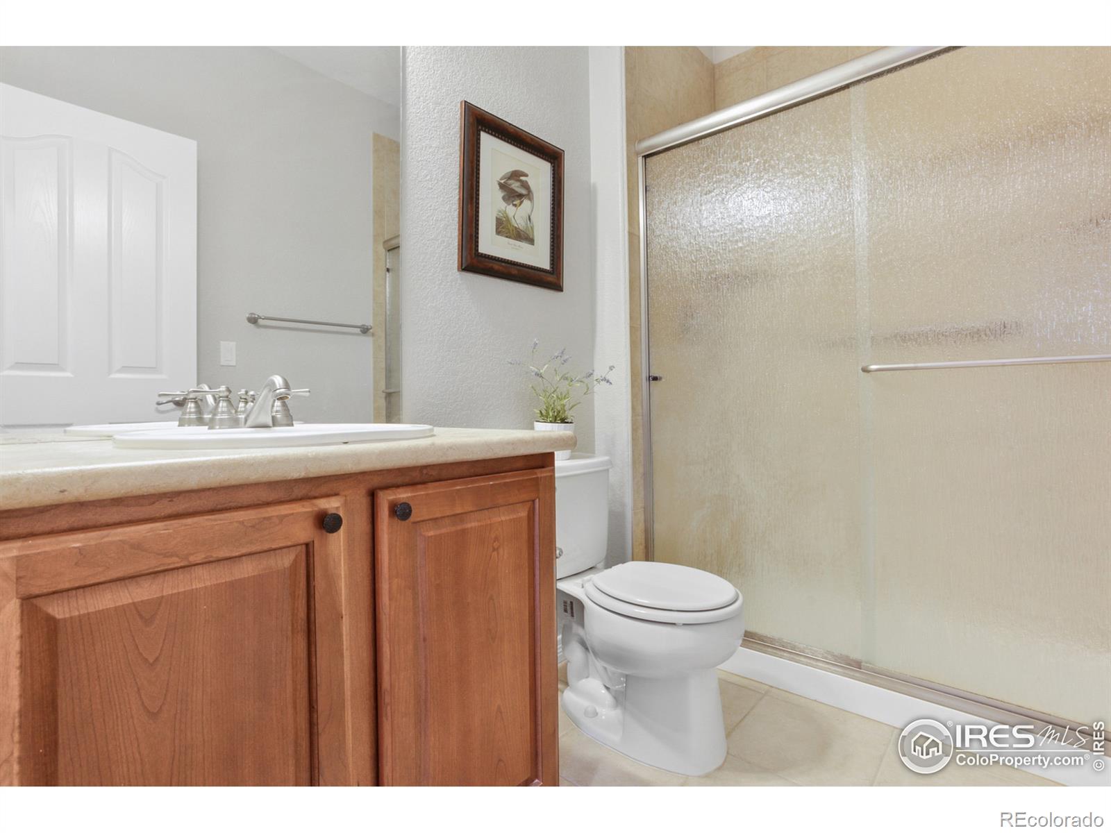 MLS Image #8 for 13302  wild basin way,broomfield, Colorado