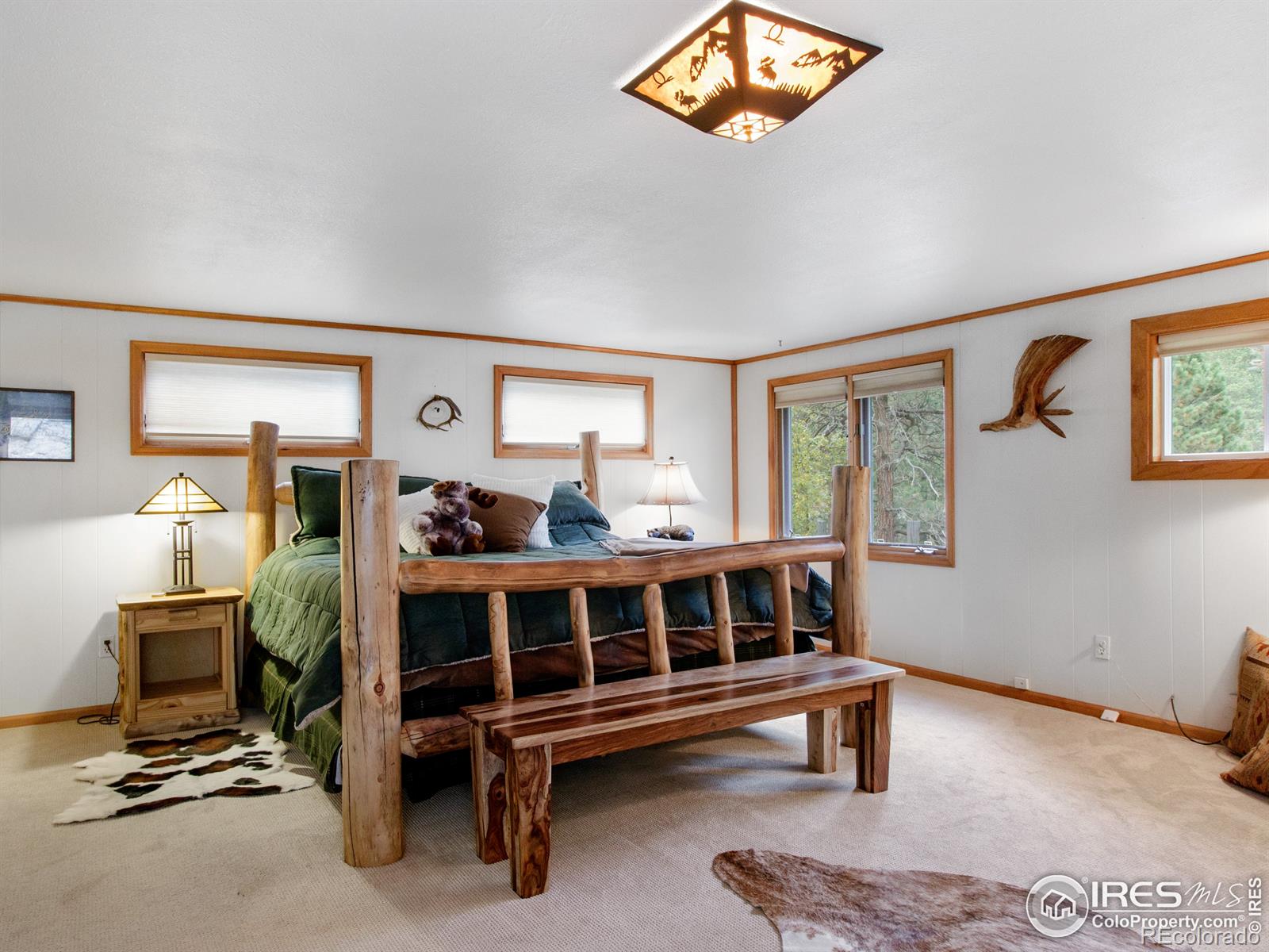 MLS Image #15 for 49  rock canyon road,drake, Colorado