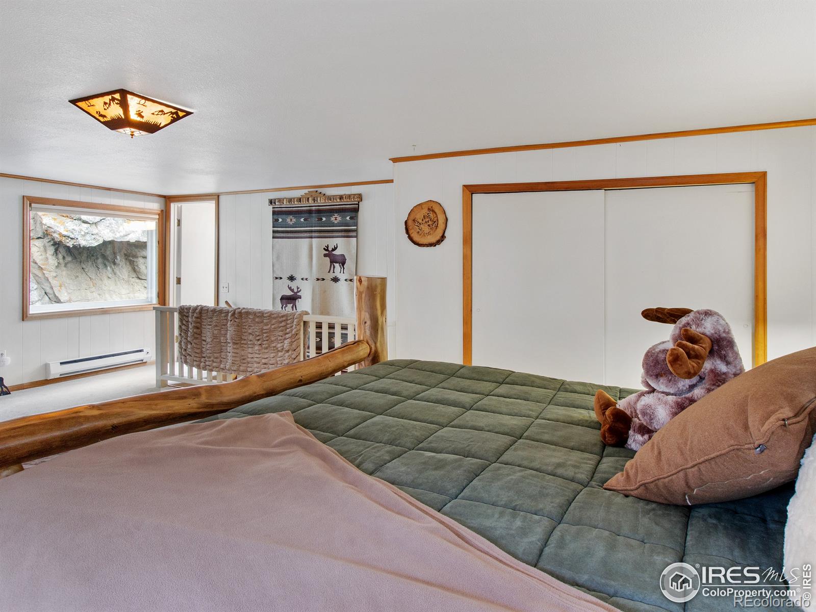 MLS Image #16 for 49  rock canyon road,drake, Colorado