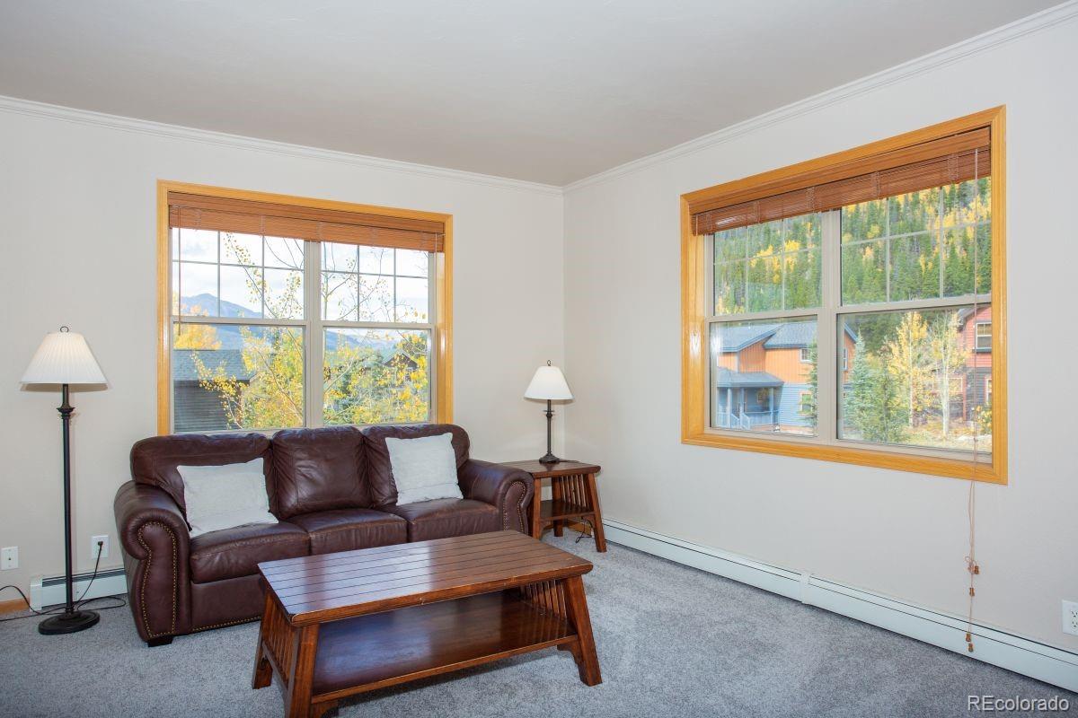 MLS Image #12 for 52  rachel lane,breckenridge, Colorado