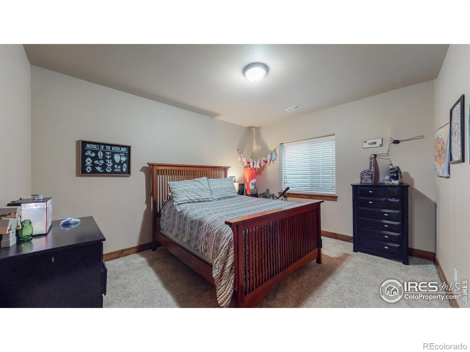 MLS Image #19 for 5035  apricot drive,loveland, Colorado