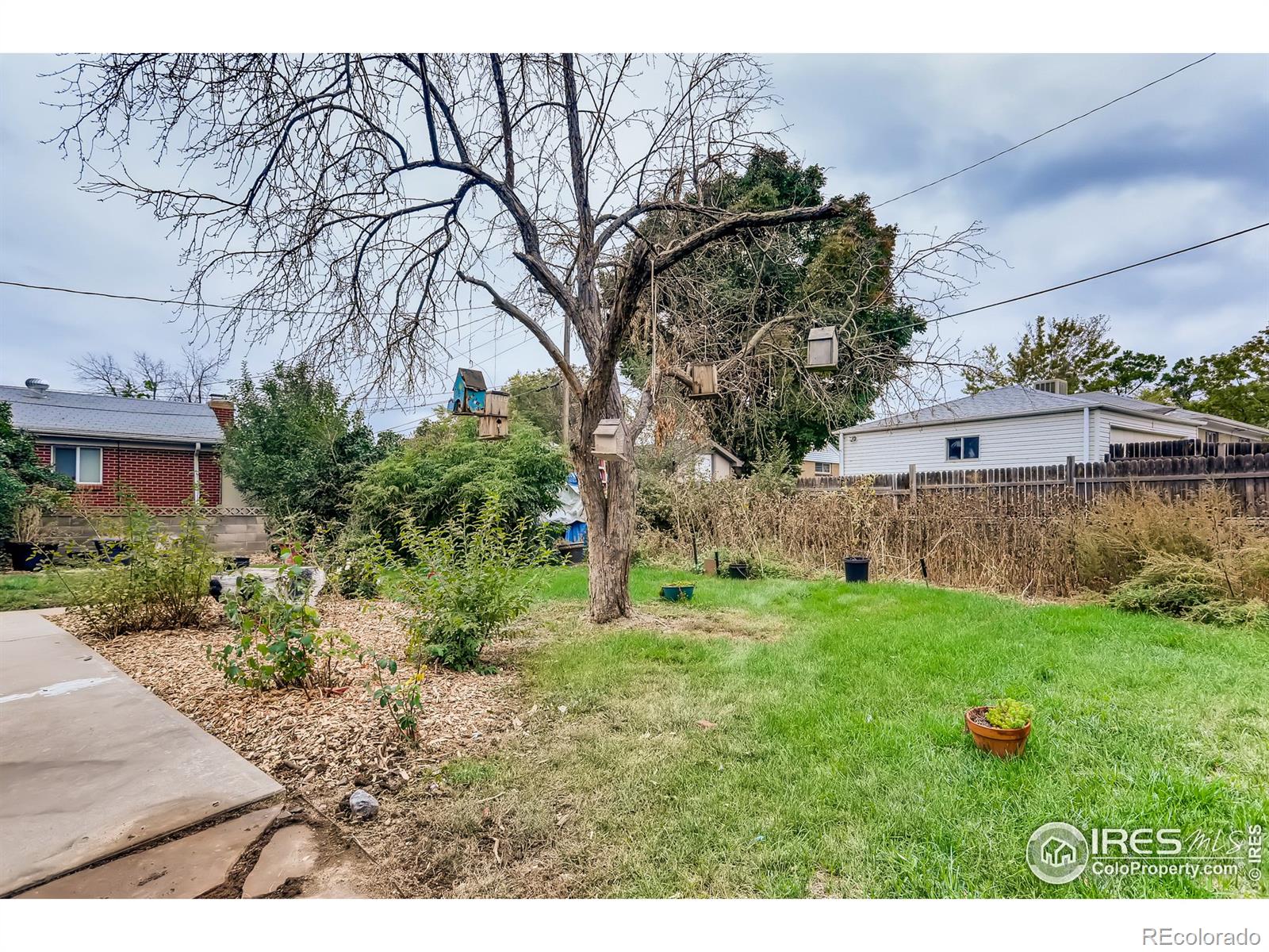 MLS Image #15 for 7793  navajo street,denver, Colorado