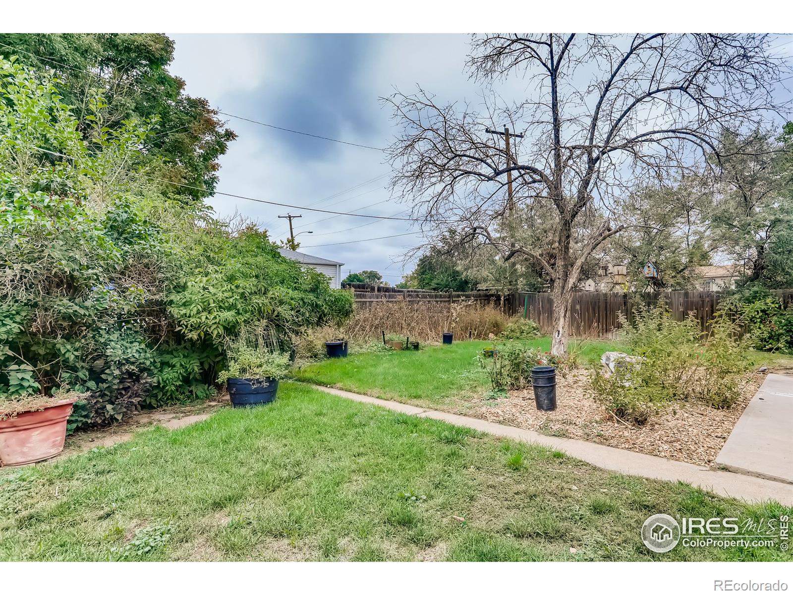 MLS Image #16 for 7793  navajo street,denver, Colorado