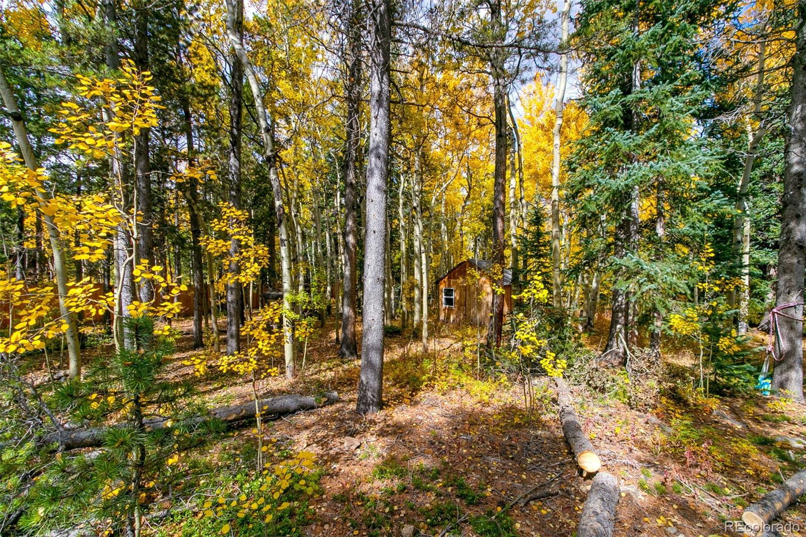 MLS Image #24 for 165  laura avenue,black hawk, Colorado