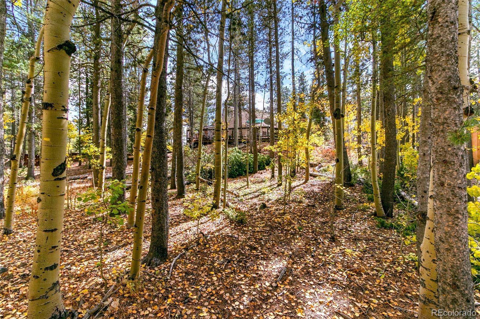 MLS Image #25 for 165  laura avenue,black hawk, Colorado