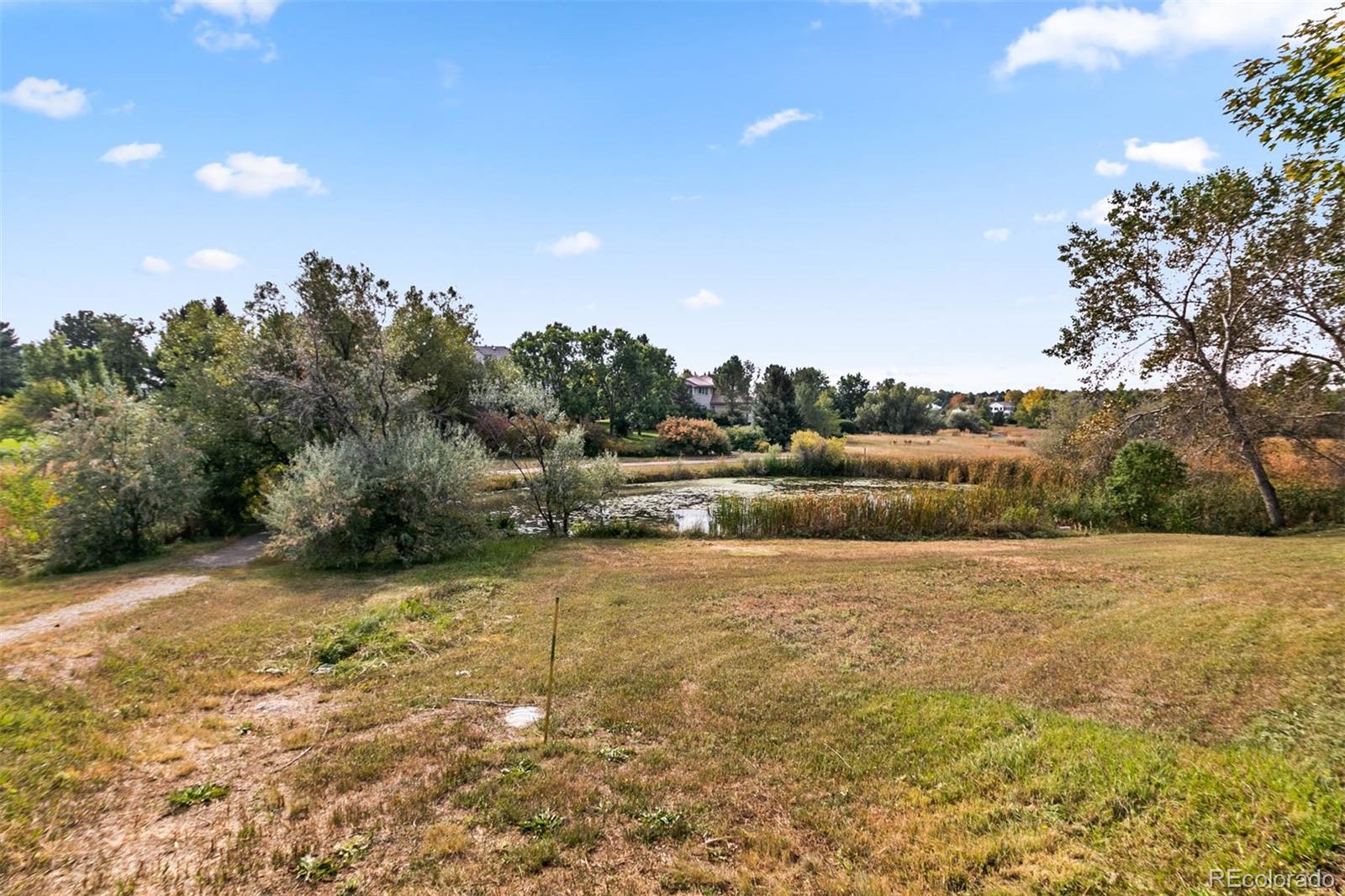 MLS Image #11 for 135  silver fox court,greenwood village, Colorado