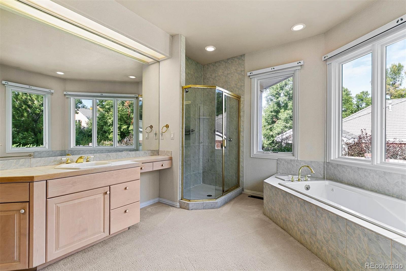 MLS Image #18 for 135  silver fox court,greenwood village, Colorado