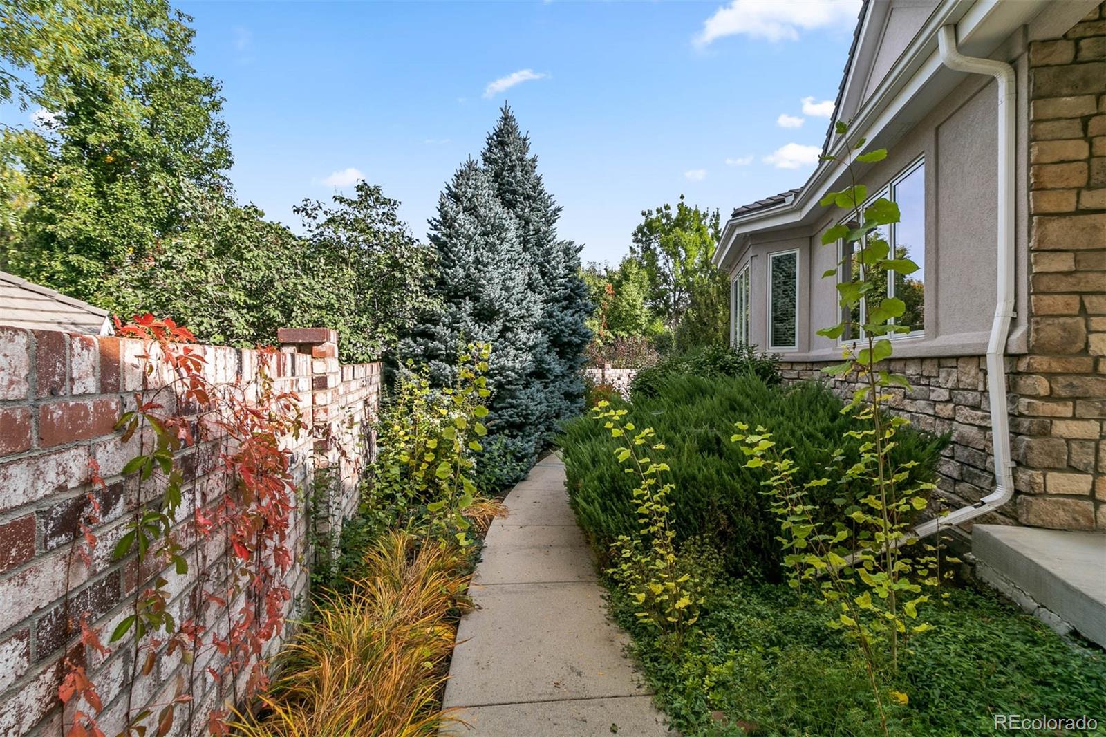 MLS Image #31 for 135  silver fox court,greenwood village, Colorado