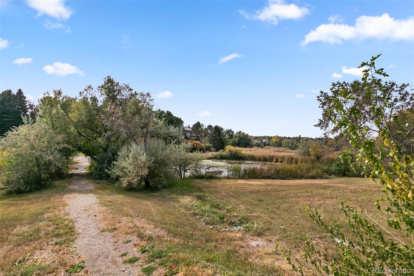 MLS Image #35 for 135  silver fox court,greenwood village, Colorado