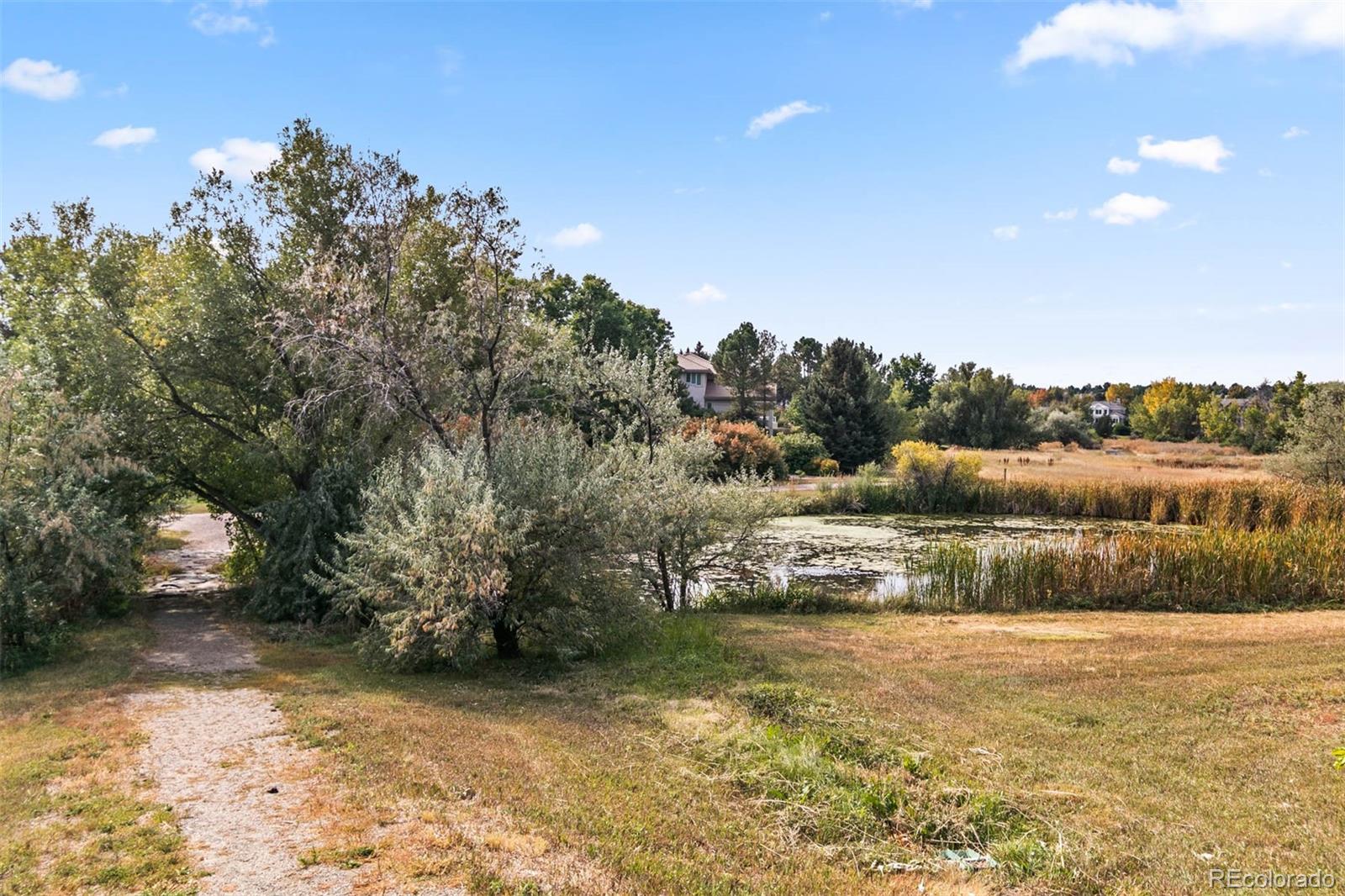 MLS Image #36 for 135  silver fox court,greenwood village, Colorado