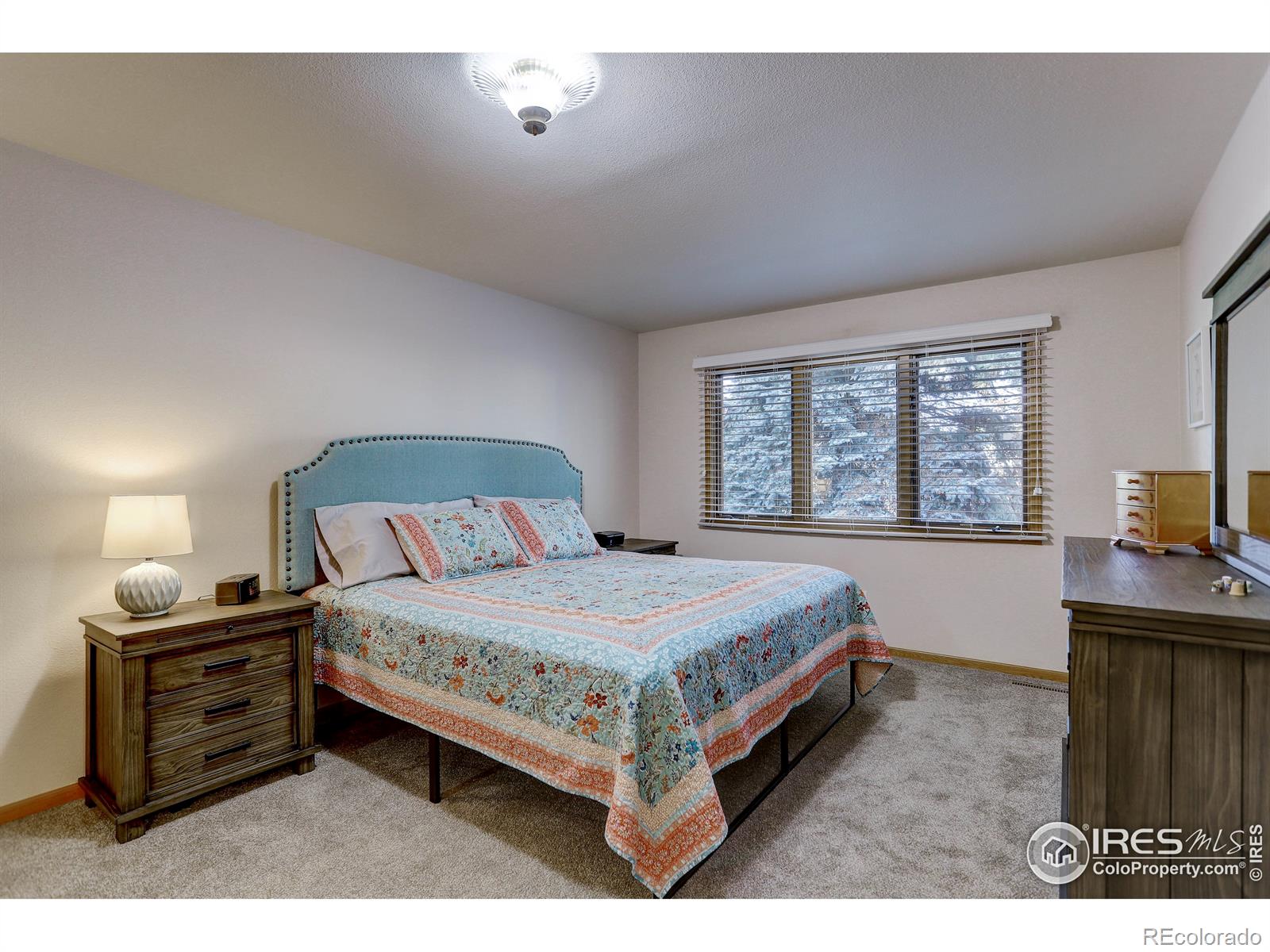 MLS Image #7 for 2426  boise avenue,loveland, Colorado