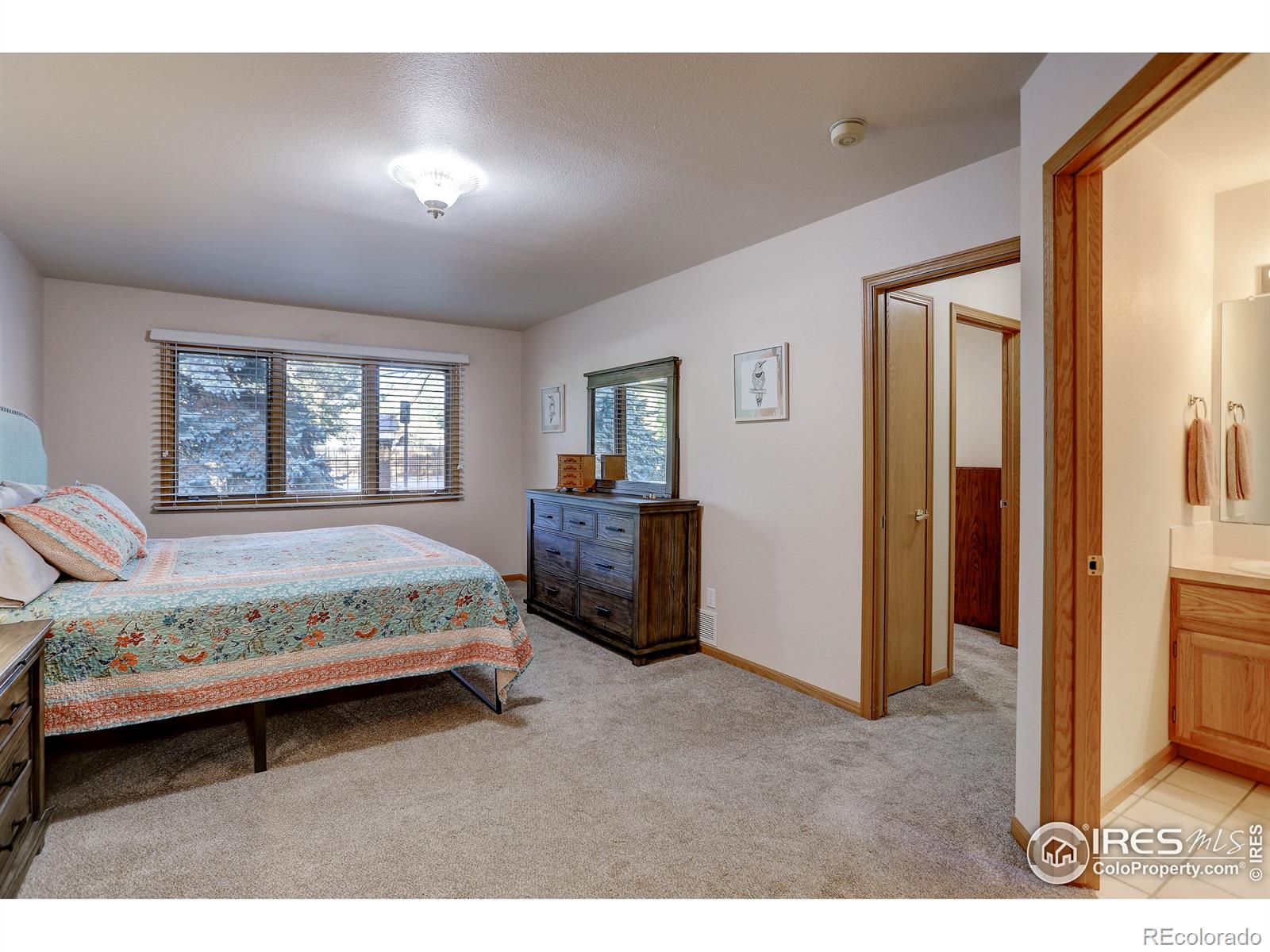 MLS Image #8 for 2426  boise avenue,loveland, Colorado