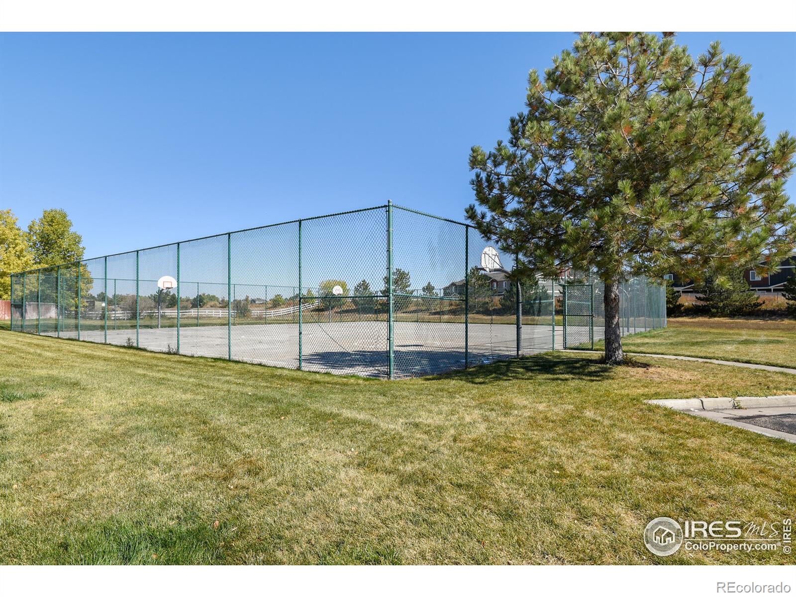 MLS Image #38 for 3580  polk circle,wellington, Colorado