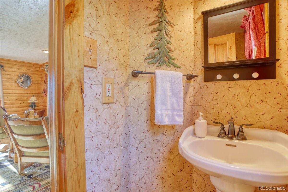 MLS Image #14 for 206  blackbird drive,bailey, Colorado