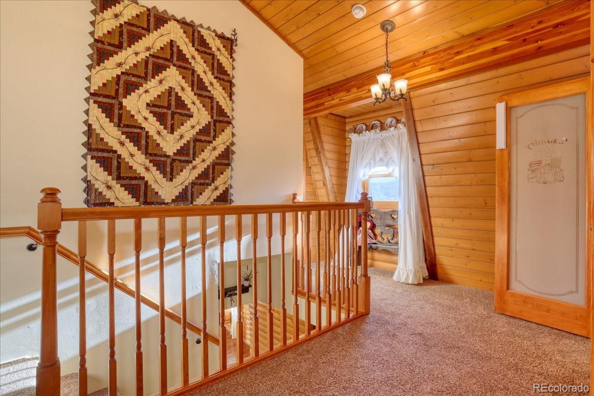 MLS Image #15 for 206  blackbird drive,bailey, Colorado