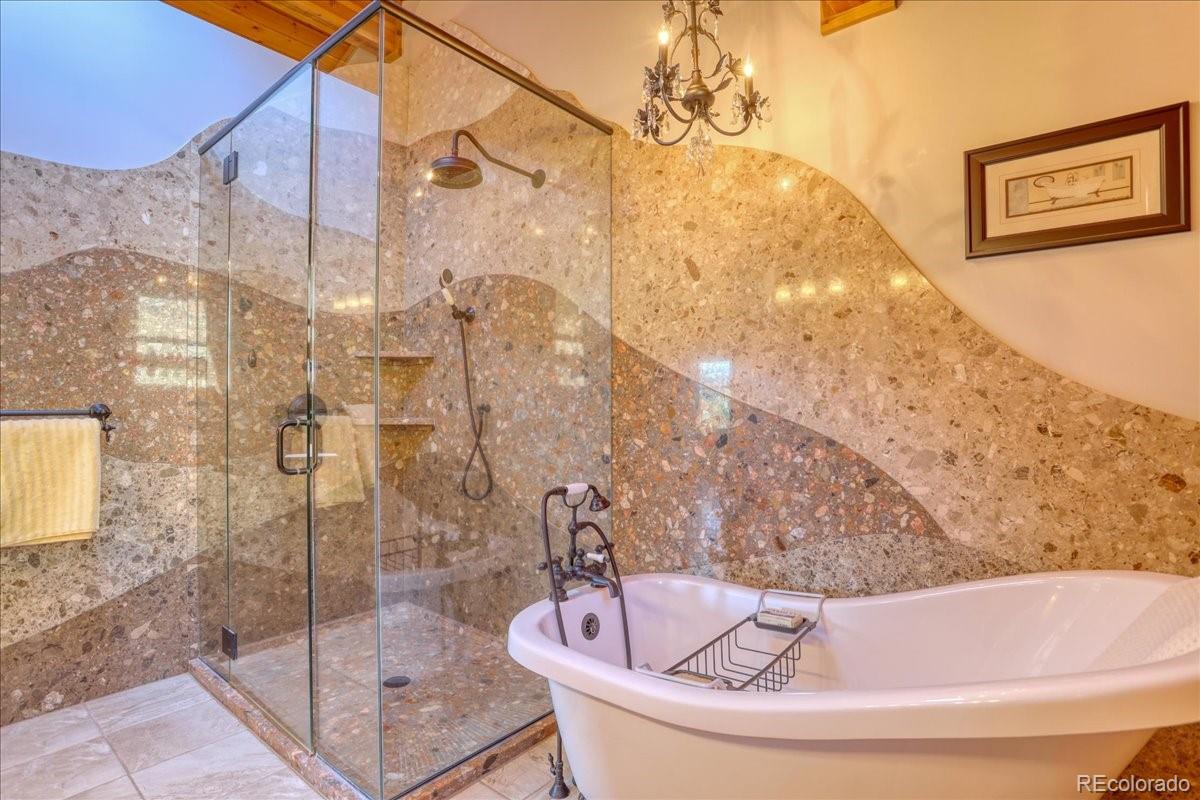 MLS Image #19 for 206  blackbird drive,bailey, Colorado