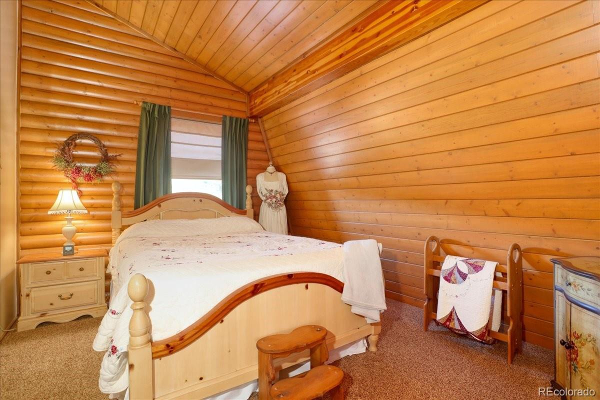MLS Image #20 for 206  blackbird drive,bailey, Colorado