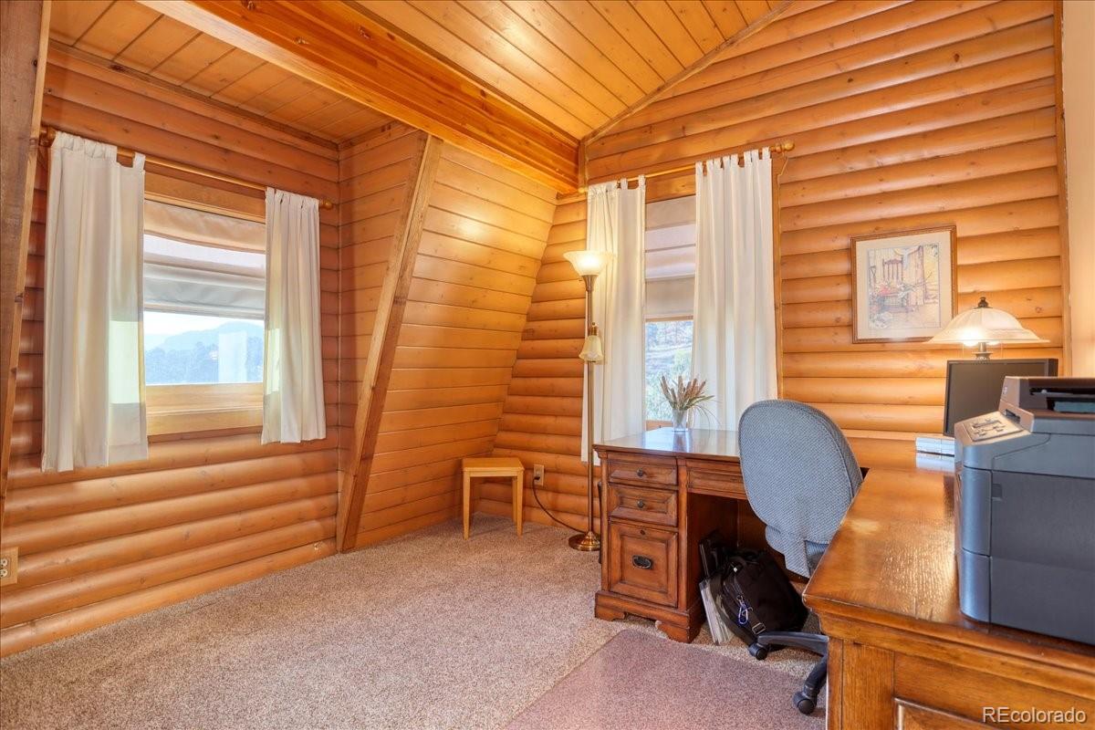 MLS Image #23 for 206  blackbird drive,bailey, Colorado