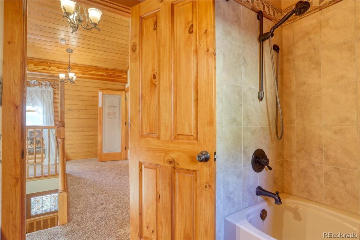 MLS Image #24 for 206  blackbird drive,bailey, Colorado