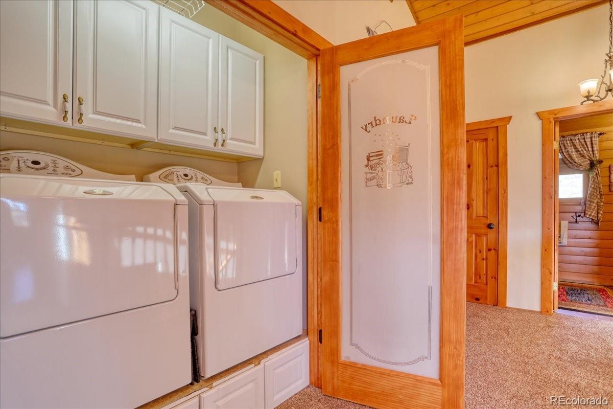 MLS Image #26 for 206  blackbird drive,bailey, Colorado
