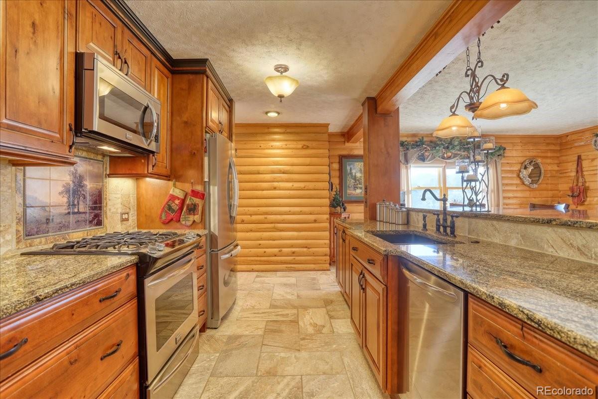MLS Image #6 for 206  blackbird drive,bailey, Colorado