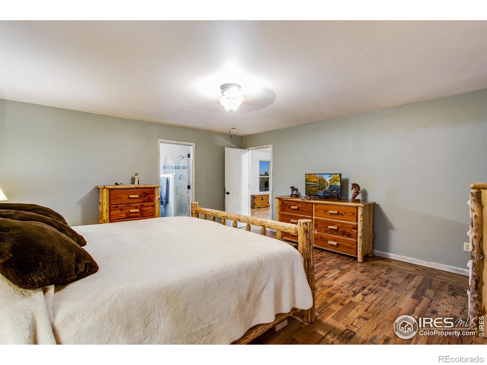 MLS Image #28 for 13134  starry night road,fort collins, Colorado