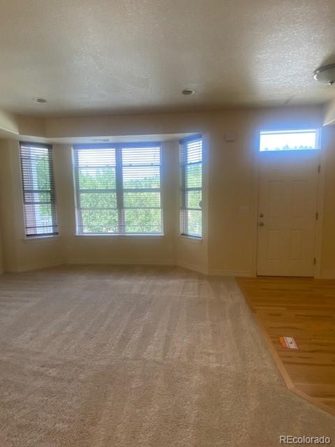 MLS Image #17 for 704  martin drive,central city, Colorado