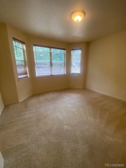MLS Image #19 for 704  martin drive,central city, Colorado