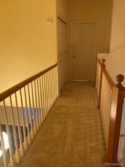 MLS Image #22 for 704  martin drive,central city, Colorado