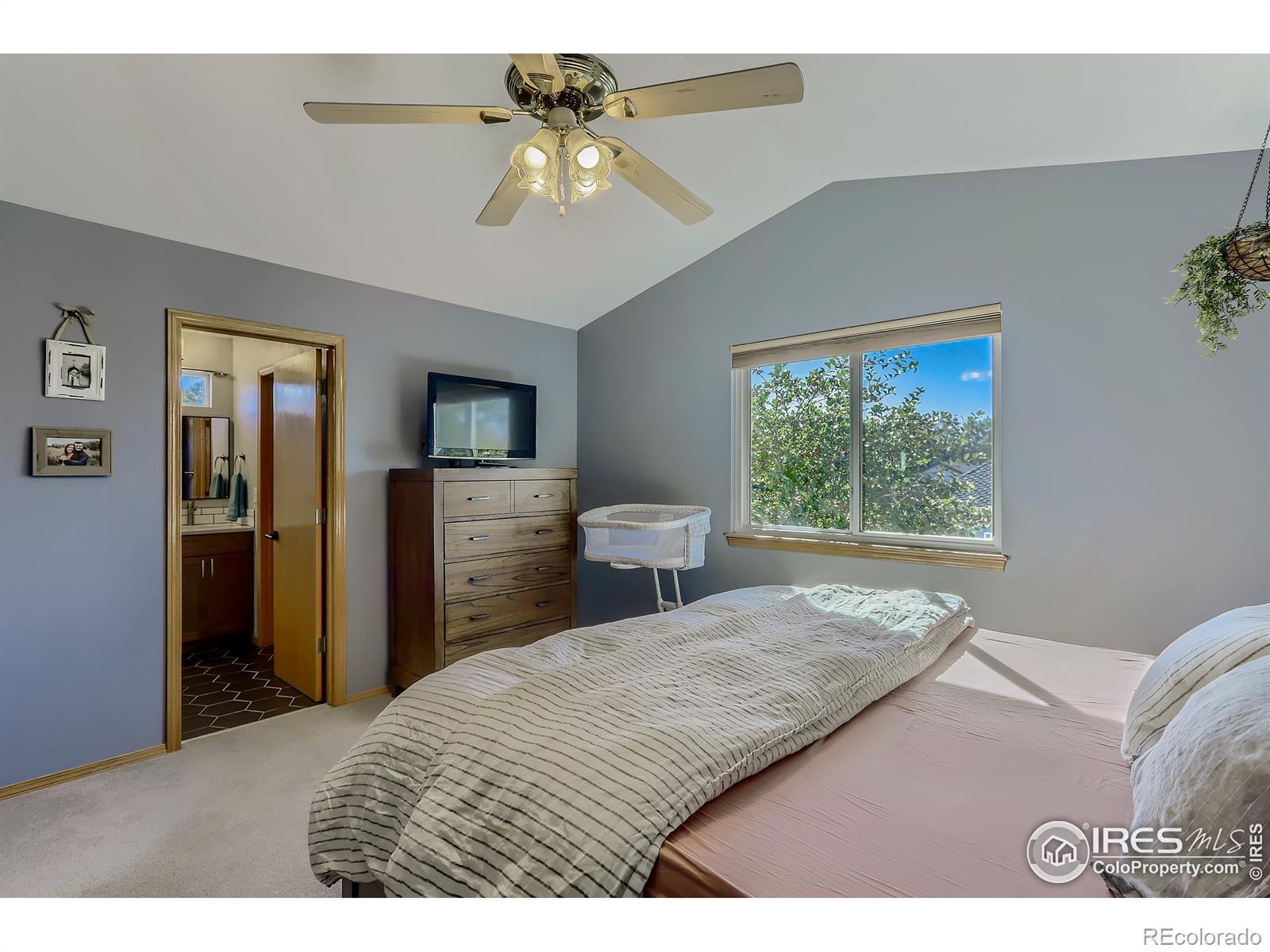 MLS Image #14 for 2307  24th avenue,longmont, Colorado