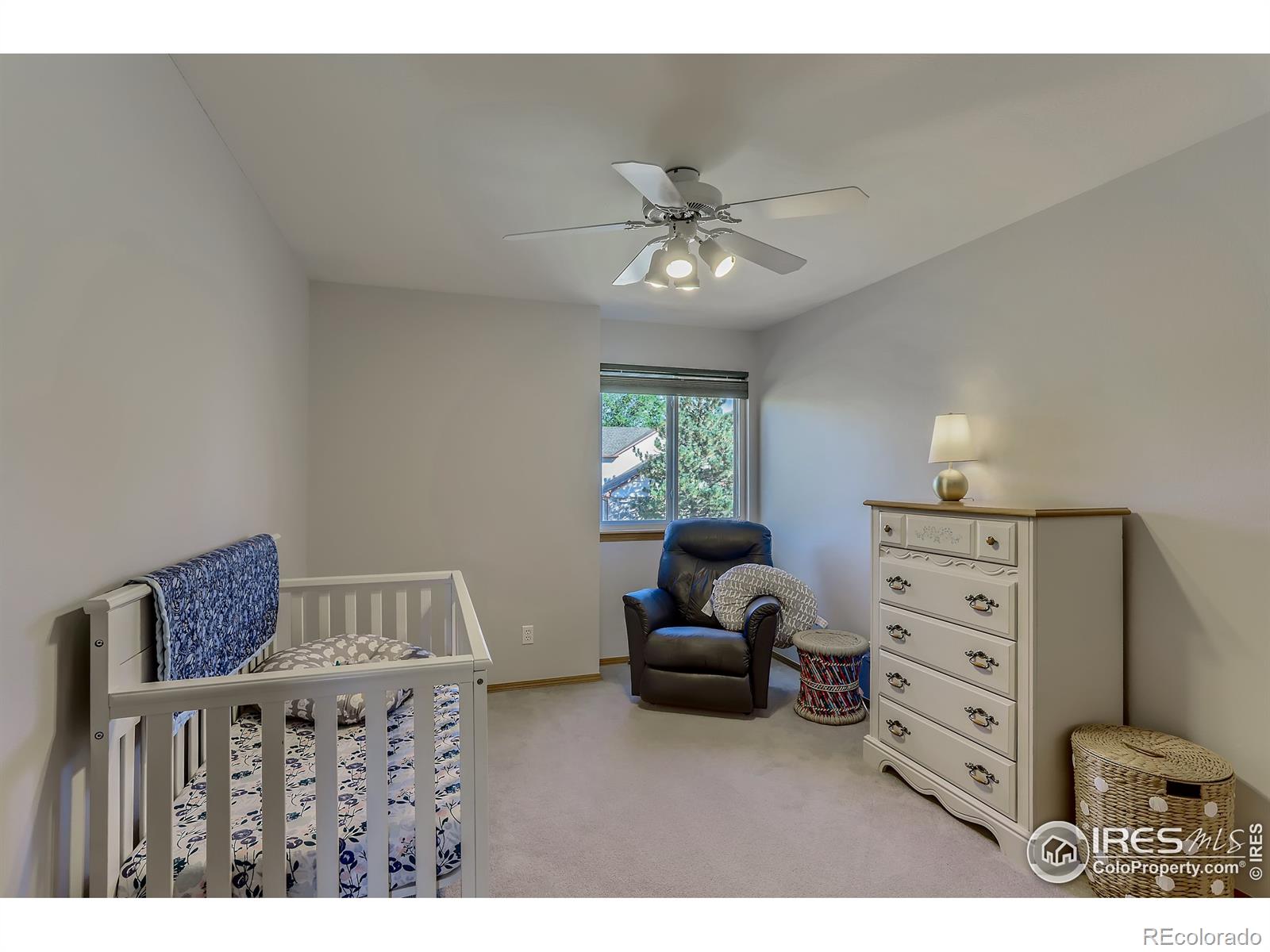 MLS Image #19 for 2307  24th avenue,longmont, Colorado