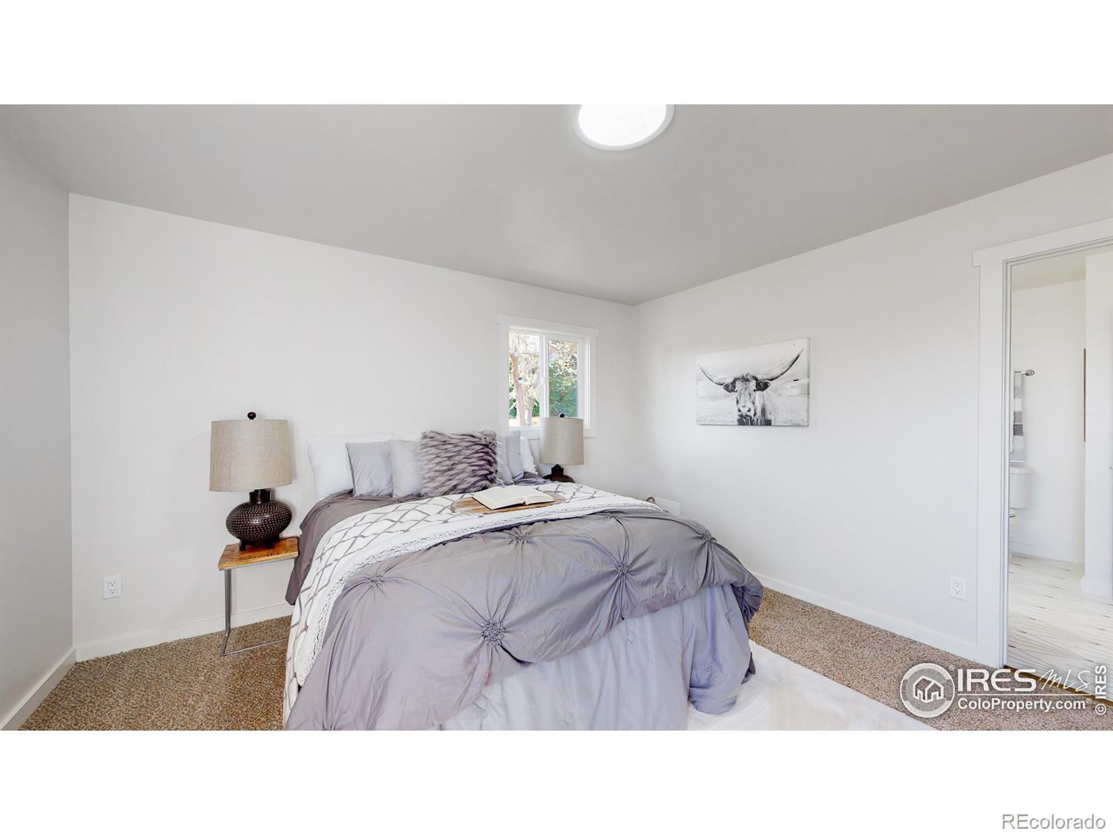 MLS Image #18 for 220  sierra vista drive,loveland, Colorado