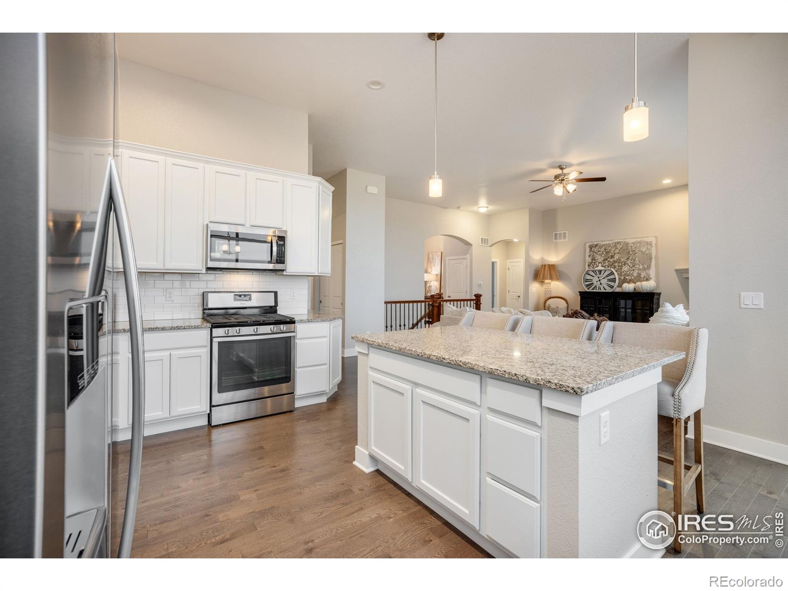 MLS Image #14 for 3789  bridle ridge circle,severance, Colorado